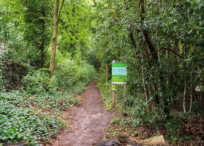 House In With Sauna Feriehus *